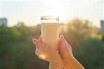 A maratona da qualidade por trás de um copo de leite: estreia o documentário Super Milk