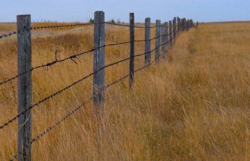 Acordo encerra conflito fundiário de duas décadas no Paraná e viabiliza reforma agrária em 58 mil hectares
