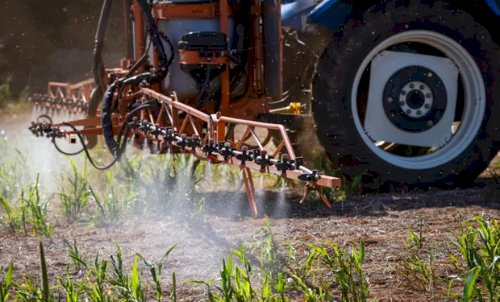O que está por trás da proposta do governo para banir agrotóxicos “ultraperigosos”
