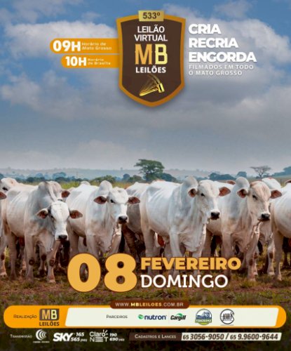 533º LEILÃO VIRTUAL DE CORTE