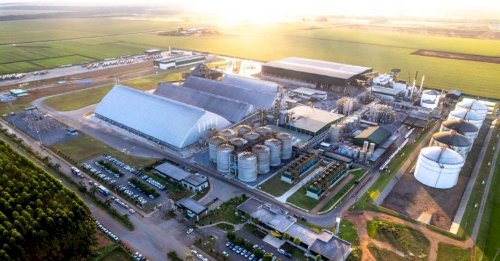 FS vende primeira carga de DDG de alta proteína do Brasil para a China