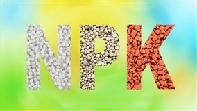 Índices mostram valorização persistente dos fertilizantes