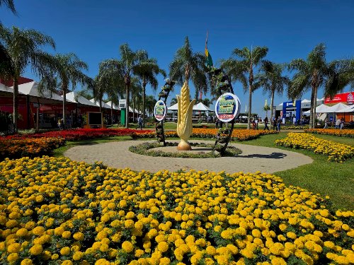 Com mais de 61 mil visitantes, Show Rural quebra recorde histórico e dita o rumo da safra 26