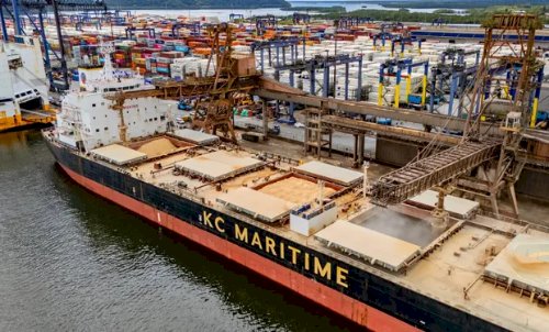 Reviravolta no tarifaço de Trump muda o jogo para o agro do Brasil; entenda