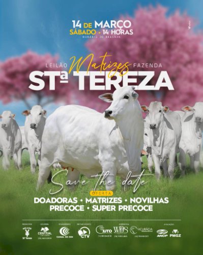 LEILÃO DE MATRIZES FAZENDA SANTA TEREZA