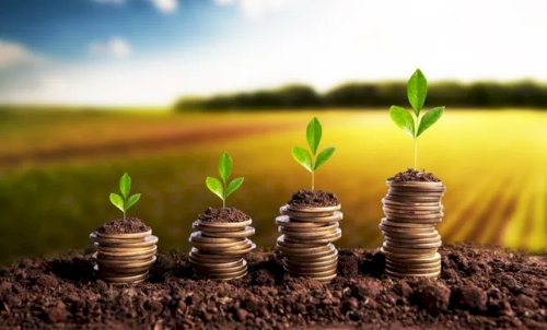 CPR dispara 39% e muda perfil do crédito rural no Brasil