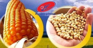 Safra de grãos no RS deve cair 7,1?hegar a 32,8 milhões de toneladas