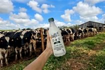 Letti lança leite A2 com versão zero lactose no Brasil