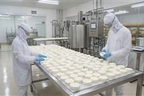 Paraná acelera no leite: dos queijos finos no campo às megafábricas industriais