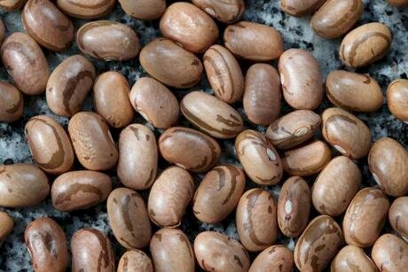 Feijão carioca bate recorde e mantém alta em março