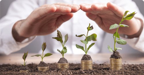 CNA alerta para risco de restrição ao crédito rural com uso de dados de desmatamento