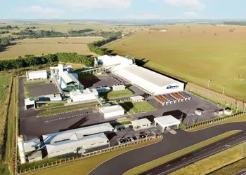 Boa Safra leva produção de sementes de milho para a Nigéria