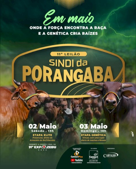 11º Leilão Sindi da Porangaba - Etapa Elite