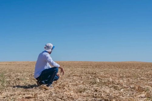Soja 26/27 ganha novo calendário e CNA liga alerta para manejo nas lavouras