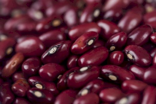 Mercado de feijão iniciou abril em queda, aponta indicador Cepea/CNA