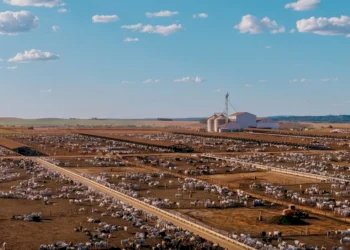 Suspeito de desviar R$ 10 milhões de fazenda tinha salário de R$ 26 mil, aponta investigação