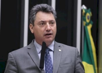 CCJC aprova projeto que moderniza lei da aquicultura no país