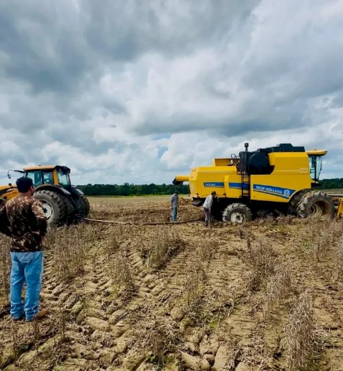 Produtores relatam prejuízos na soja e Couto Magalhães pode decretar emergência