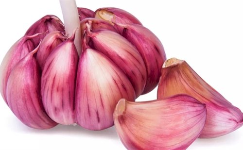 Crise no alho pressiona produtores sul-americanos