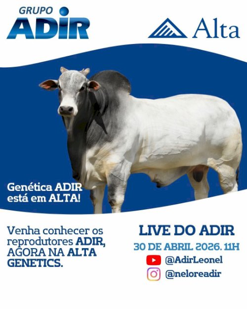 A Genética ADIR está em ALTA e agora você poderá participar de uma LIVE EXCLUSIVA DE VENDA DE SÊMEN dos nossos reprodutores!