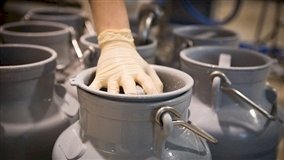 Leite: recuperação não compensa perdas de mais de 20% no ano