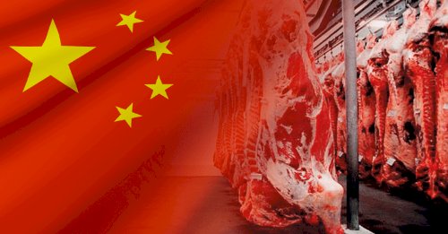 Importações de carne bovina da China sobem 33% no 1º tri/26