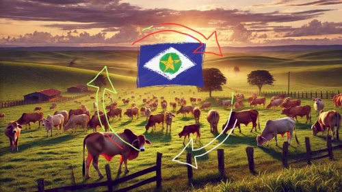 Mato Grosso aumenta em 127% número de cadastros validados com CAR Digital 2.0