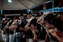 Raça holandesa concentra programação da Fenasul Expoleite em Esteio/RS