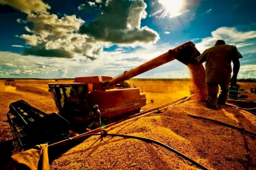 Crédito cresce mais de 20% no Tocantins e impulsiona negócios em todo o estado