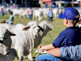 Confira os destaques da programação nesta quinta-feira (30) na 91ª ExpoZebu