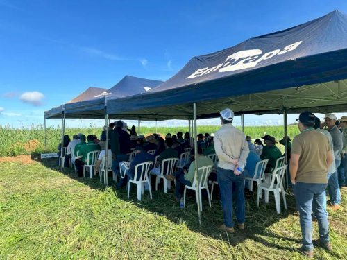 Aprosoja Tocantins convida produtores para Dia de Campo em Paraíso do Tocantins com foco em manejo e produtividade