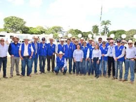 Conheça os Grandes Campeões da 91ª ExpoZebu