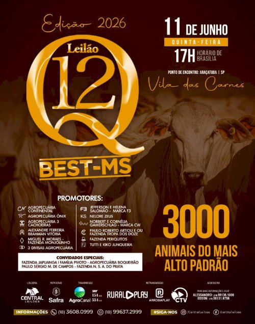 LEILÃO Q12 - EDIÇÃO 2026