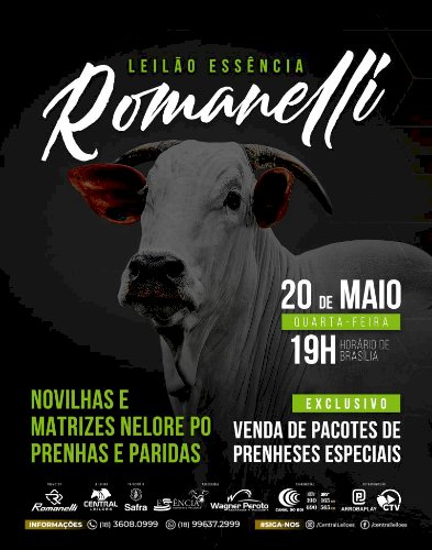 LEILÃO ESSÊNCIA ROMANELLI