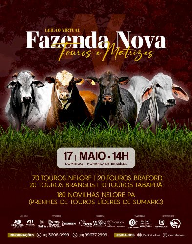 LEILÃO VIRTUAL FAZENDA NOVA