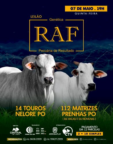 LEILÃO GENÉTICA RAF PECUÁRIA DE RESULTADO