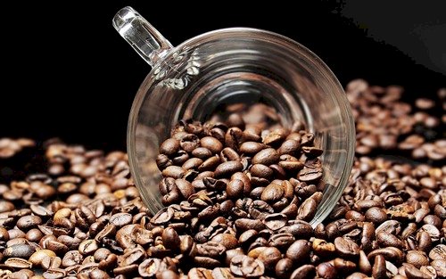 SRB e Embrapa discutem novo ciclo na cafeicultura