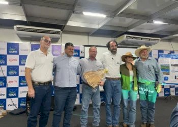Novilho Precoce Tocantins leva debates estratégicos para a Agrotins 2026