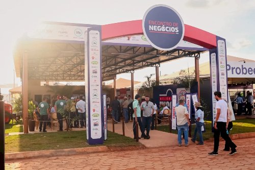 Agrotins 2026: Crescimento da pecuária no Tocantins impulsiona debate sobre mercado de reprodução bovina