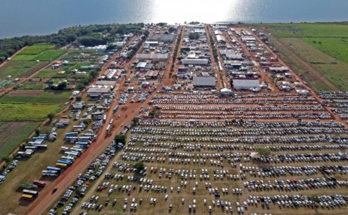 Agrotins 2026 integra programação sobre caminhos jurídicos para reorganização financeira no campo