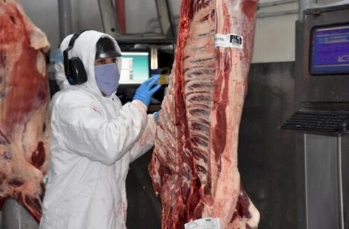 UE mantém demais países do Mercosul como exportadores de carne