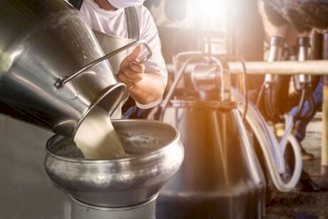 Custo da produção leiteira cresce em 2026
