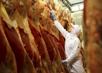 Recorde nas exportações de carne bovina esbarra em preocupação com cota da China