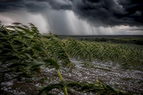 INMET alerta para tempestades com granizo em áreas produtoras nesta terça