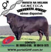 Cotações do boi gordo