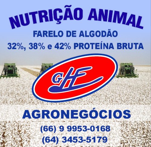Algodão tem alívio após alta da pluma