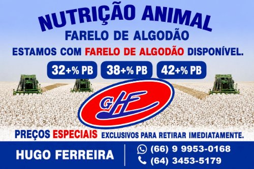 Camex aprova medidas antidumping contra leite em pó importado da Argentina e Uruguai