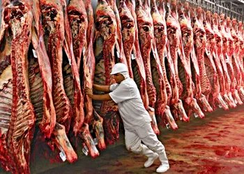 Comércio Brasil/EUA: Governo Trump propõe tarifa de 25%, mas carne bovina fica de fora