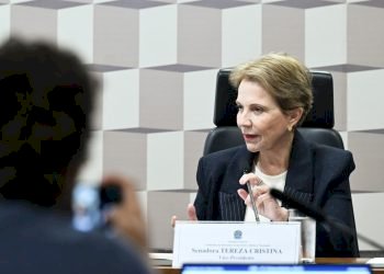 Tereza Cristina defende política nacional para transformar minerais críticos em desenvolvimento e inovação