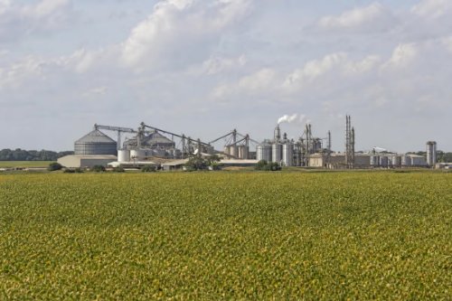 MT tenta converter força do agro em indústria